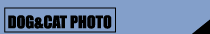 �ʐ^��